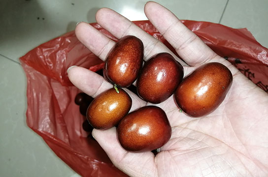 陜西ZBK380空壓機斷油保護裝置安裝 客戶盛情比棗甜